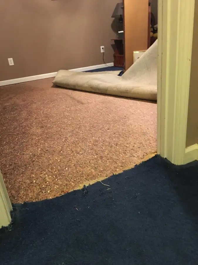 Carpet pad removal revealing water damage during Drying & Dehumidification in Spring Valley Lake